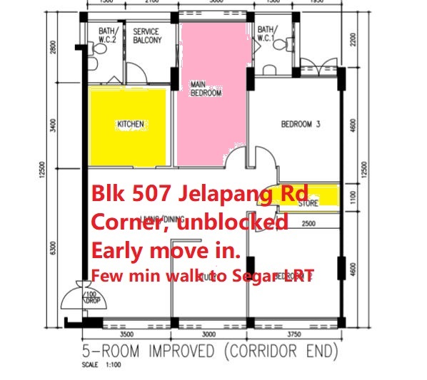 Blk 507 Jelapang Road (Bukit Panjang), HDB 5 Rooms #163100022